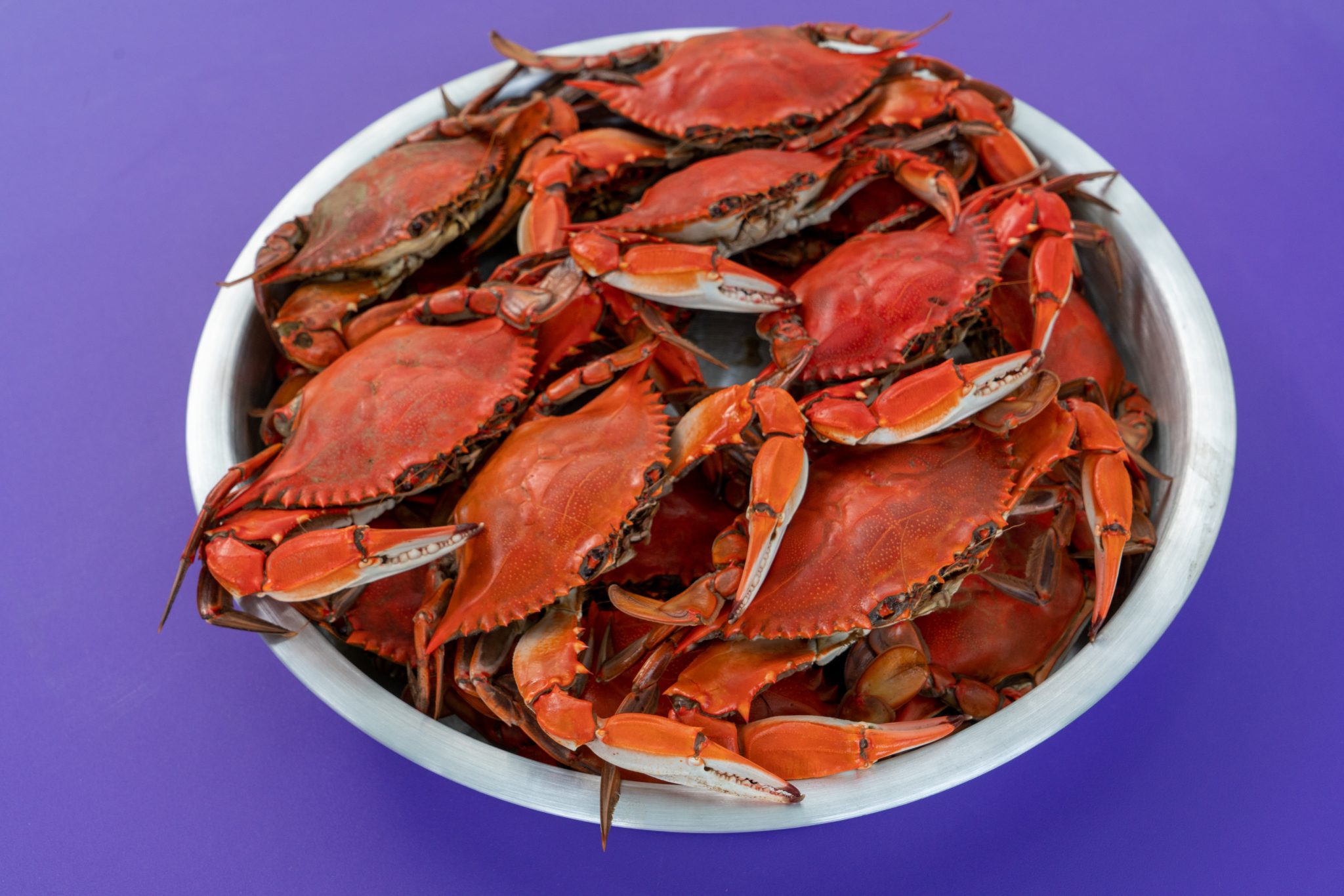 15" Aluminum Seafood Serving Tray 6 Tray Pack Metal Fusion, Inc.